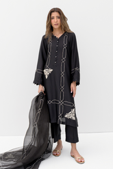 Black Embroidered Organza dress featuring intricate Aari embroidery on neckline and sleeves